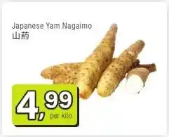 Amazing Oriëntal Japanese Yam Nagaimo 山药 aanbieding