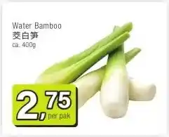 Amazing Oriëntal Water Bamboo 茭白笋 aanbieding