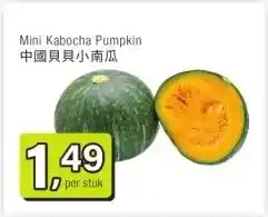 Amazing Oriëntal Mini Kabocha Pumpkin 中國貝貝小南瓜 aanbieding