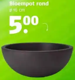 Poiesz Bloempot rond aanbieding