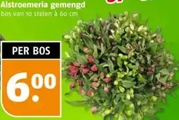 Poiesz Alstroemeria gemengd aanbieding