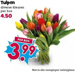 Boon`s Markt Tulpen aanbieding