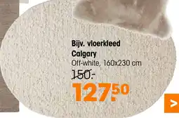 Kwantum Vloerkleed Calgary aanbieding