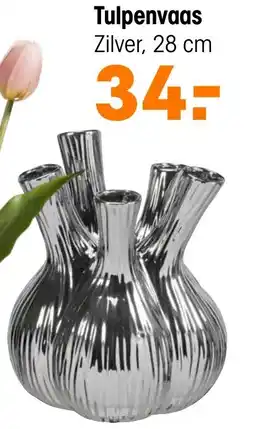 Kwantum Tulpenvaas aanbieding