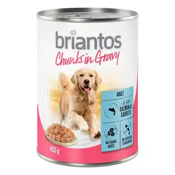 Zooplus 24x415g Briantos Chuns in Gravy Zalm & Wortels Honden Natvoer aanbieding