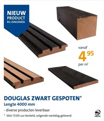 Jongeneel Douglas zwart gespoten aanbieding