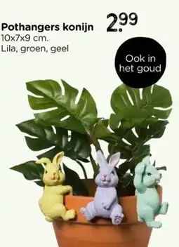 Xenos Pothangers konijn aanbieding