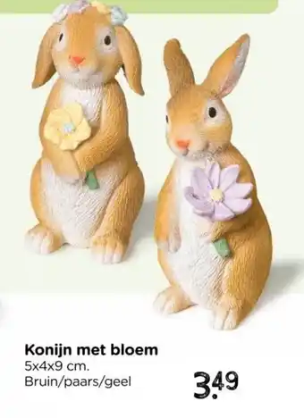 Xenos Konijn met bloem aanbieding