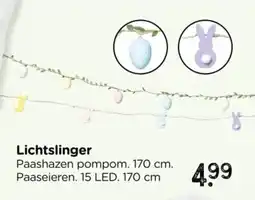 Xenos Lichtslinger aanbieding