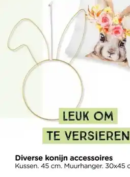 Xenos Diverse konijn accessoires aanbieding