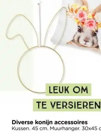 Xenos Diverse konijn accessoires aanbieding