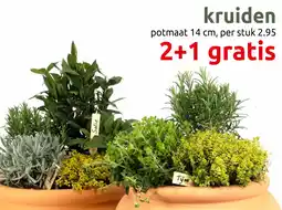 Deka Tuin Kruiden aanbieding