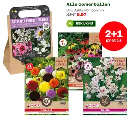 Welkoop Alle zomerbollen aanbieding