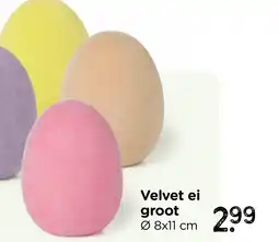 Xenos Velvet ei groot aanbieding