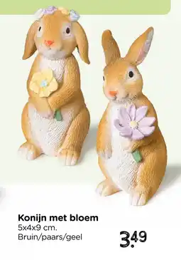 Xenos Konijn met bloem aanbieding