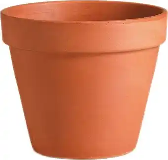 Intratuin Mega Collections pot D 5,5 cm terracotta aanbieding