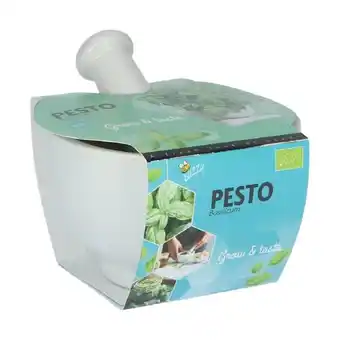 Welkoop Buzzy Vijzel Pesto Bio Basilicum - Groentezaden - 1 stuk aanbieding