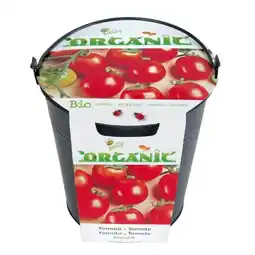 Welkoop Buzzy Organic Emmertje Tomaat (BIO) - Groentezaden - 8  aanbieding