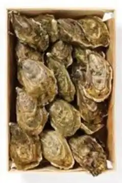 HANOS Limax Lima oesters aanbieding