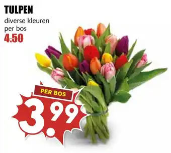 De Boerenschuur Tulpen aanbieding