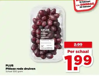 PLUS PLUS Pitloze rode druiven aanbieding