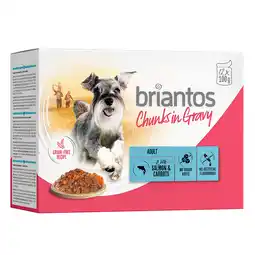 Zooplus Briantos Chunks in Gravy 12 x 100 g - Zalm & Wortel aanbieding