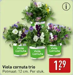 ALDI Viola Cornuta aanbieding