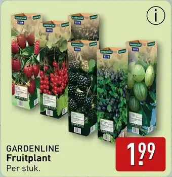 ALDI Gardenline Fruitplant aanbieding