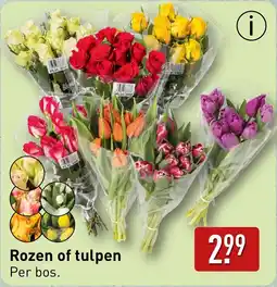 ALDI Rozen of tulpen aanbieding