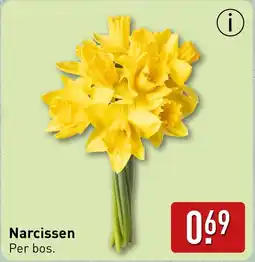 ALDI Narcissen aanbieding