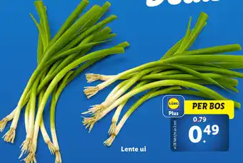 Lidl Lente ui aanbieding