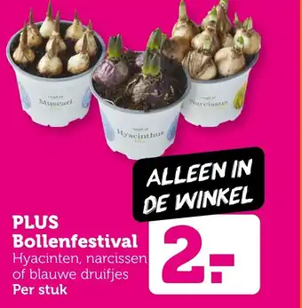 Coop PLUS Bollenfestival aanbieding