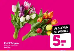 Coop PLUS Tulpen aanbieding