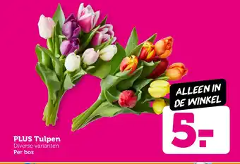 Coop PLUS Tulpen aanbieding