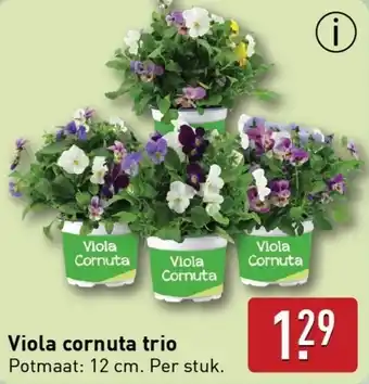 ALDI Viola cornuta trio aanbieding