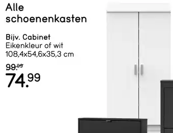 Leen Bakker Alle Schoenenkasten Bijv. Cabinet aanbieding