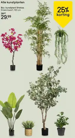 Leen Bakker Alle kunstplanten aanbieding