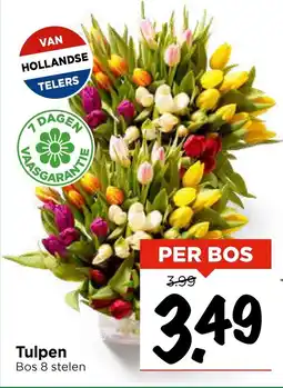 Vomar Voordeelmarkt Tulpen aanbieding