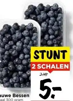 Vomar Voordeelmarkt Blauwe Bessen Schaal 300 gram aanbieding