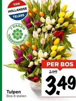 Vomar Voordeelmarkt Tulpen Bos 8 stelen aanbieding