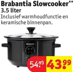 Kruidvat Brabantia Slowcooker** Curver Decobin duo aanbieding