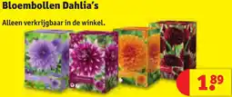 Kruidvat Bloembollen Dahlia's aanbieding