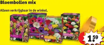 Kruidvat Bloembollen mix aanbieding