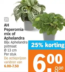 Albert Heijn AH Peperomia mix of Aphelandra aanbieding