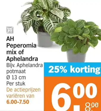 Albert Heijn AH Peperomia mix of Aphelandra aanbieding