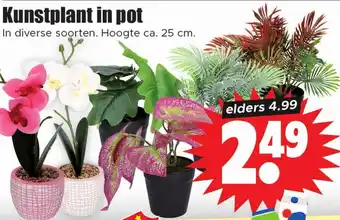 Dirk Kunstplant in pot aanbieding