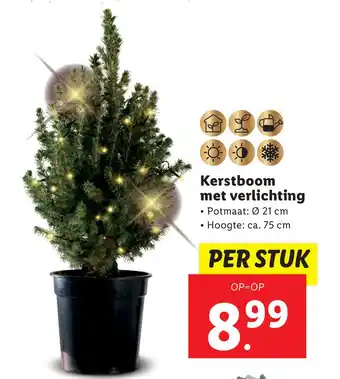 Lidl Kerstboom met verlichting aanbieding