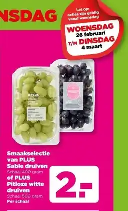 PLUS Smaakselectie van PLUS Sable druiven Schaal 400 gram of PLUS Pitloze witte druiven Schaal 500 gram aanbieding