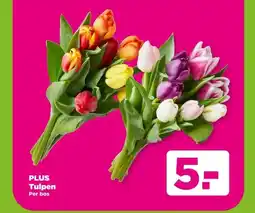 PLUS PLUS Tulpen aanbieding