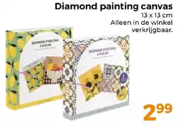 Trekpleister Diamond painting canvas aanbieding